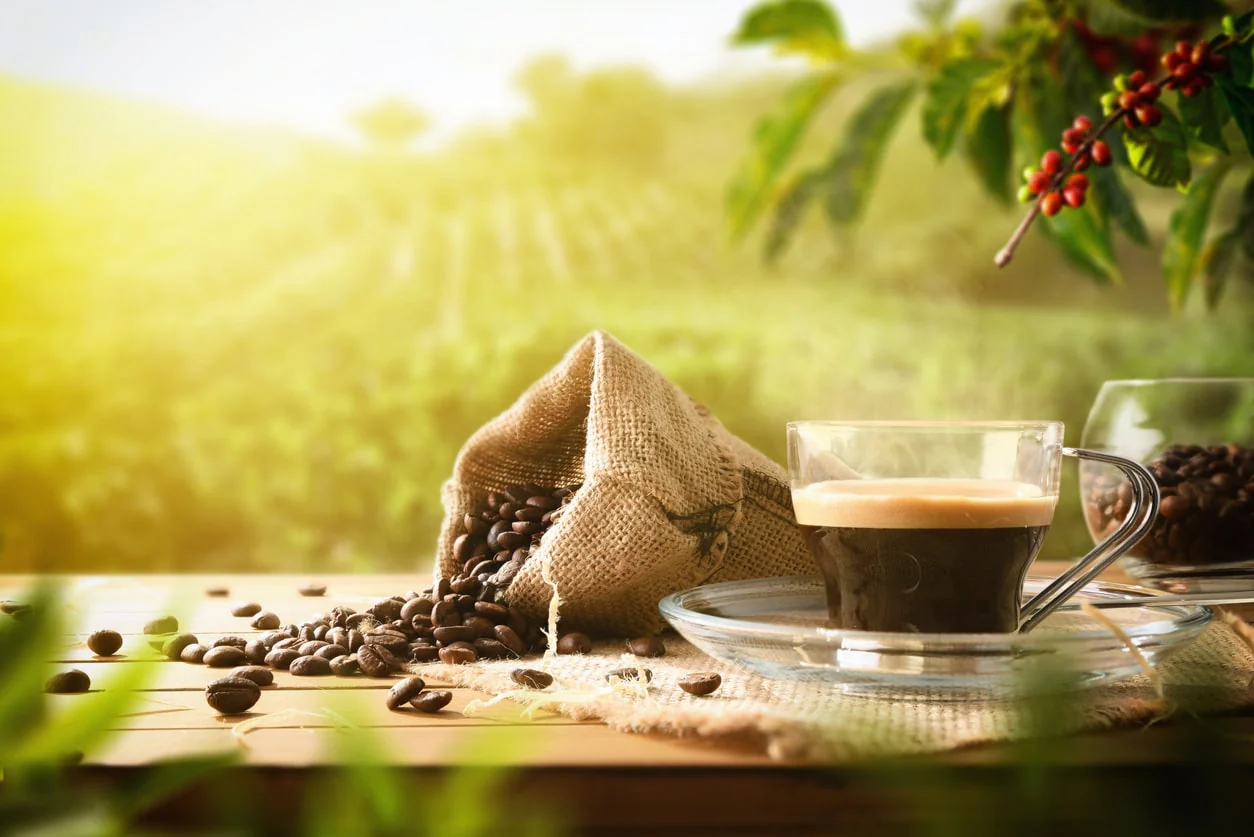 Immagine_il_caffe_biologico