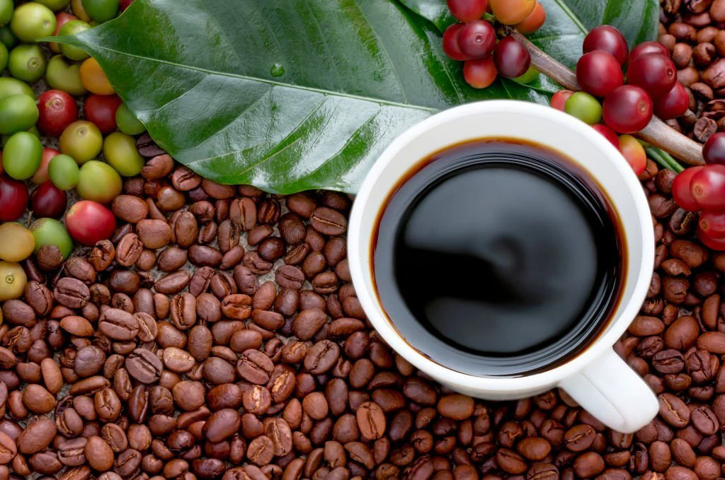 is_organic_coffee_better_1024x1024